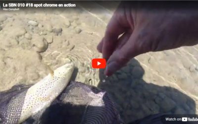 THE SBN010 #18 CHROME SPOT IN ACTION