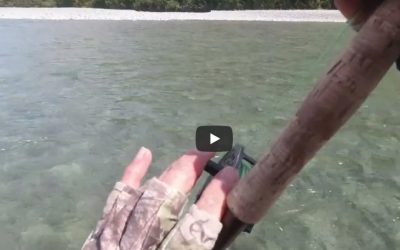 Décrochage d’une très belle fario dans une rivière pristine près de Twizel