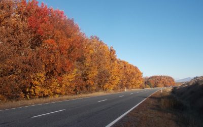 Autumn in Twizel