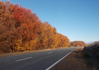 Autumn in Twizel