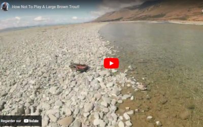 How not to play a large brown trout!