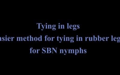 Another way of tying in rubber legs for your steel back nymph